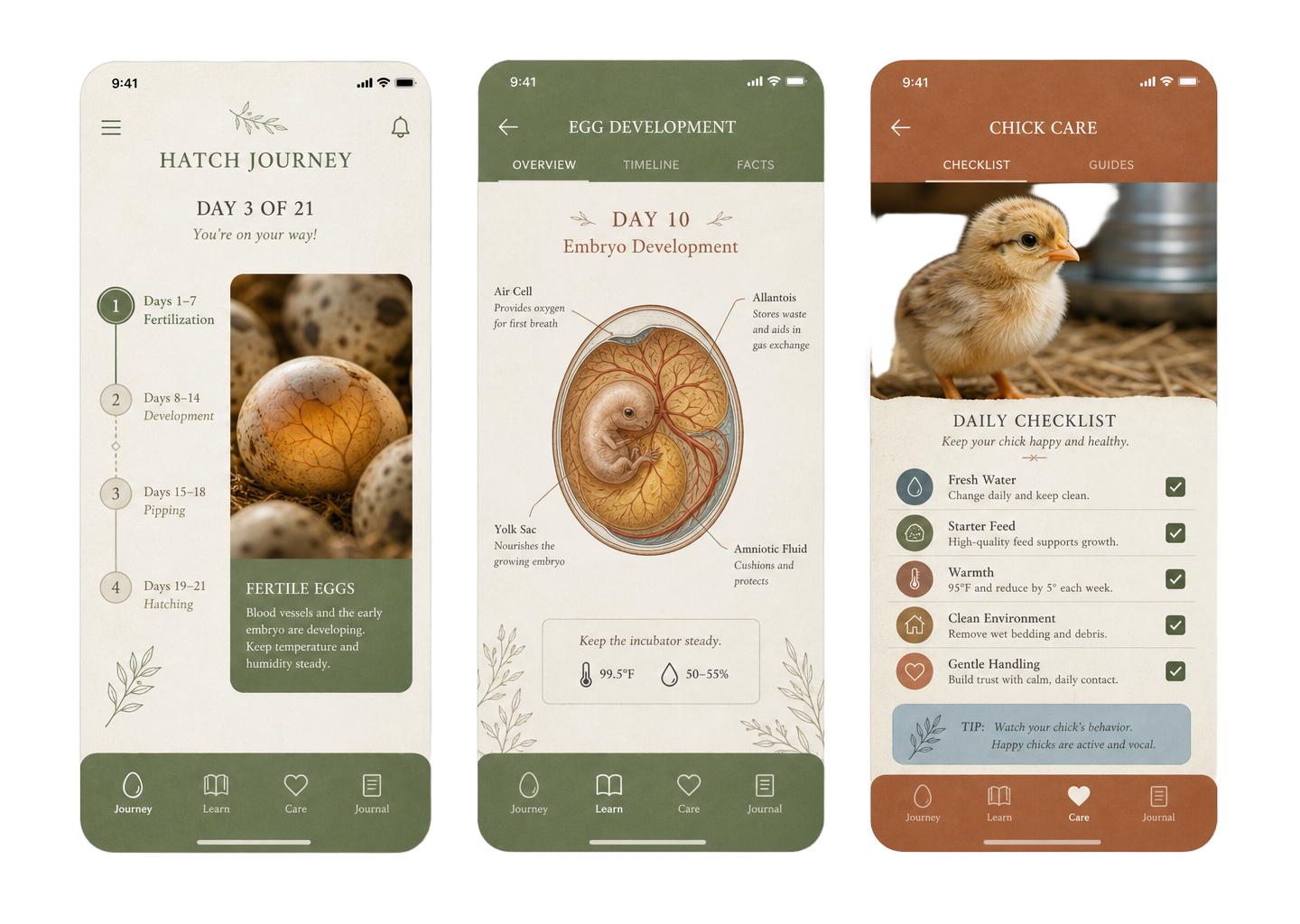Preview of three Eggtastic App screens: hatch journey timeline, egg development diagram and daily chick care checklist